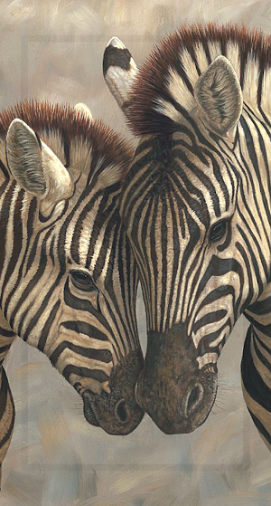 Zebra Wallpaper HD Screenshot 1