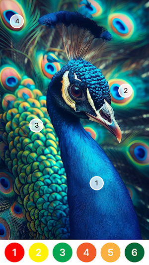 Paint by Number: Color Game Screenshot 3
