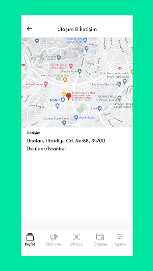Festivo Screenshot 2