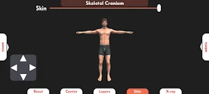 Irusu 3D Human Anatomy Screenshot 0