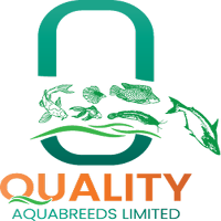 QAL Survey
