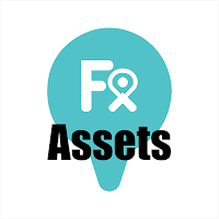 FX Asset
