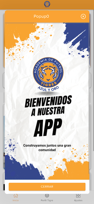 Academia Tigres Azul y Oro Screenshot 2
