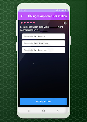 Grammatik Übungen Adjektive De Screenshot 2