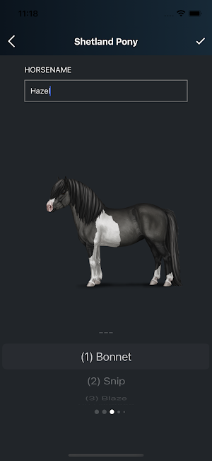 NOBLE HORSE DESIGNER Screenshot 2