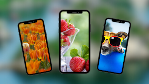 Summer Wallpapers Screenshot 1