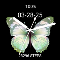 Cute Pretty Green Butterfly
