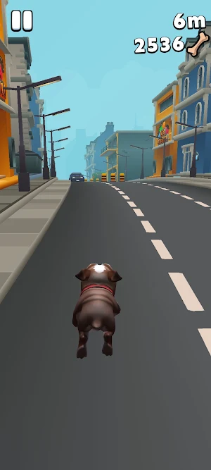 Dog Catcher Run Screenshot 3