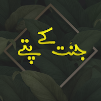 Jannat kay pattay novel