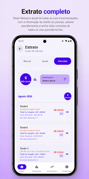 Finances Balance WP Screenshot 2