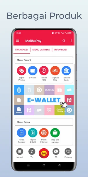 MalibuPay Screenshot 1