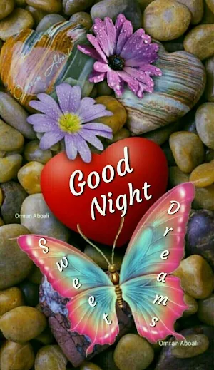 Good Night Sweet Dreams GIF Screenshot 0