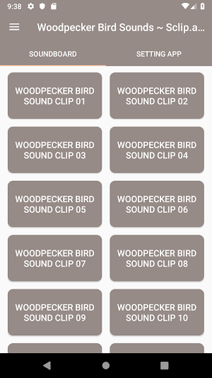 Woodpecker Bird Sounds ~ Sclip.app Screenshot 0