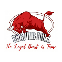 Burning Bull