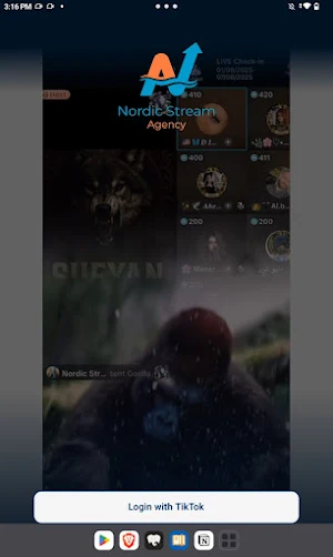 Nordic Stream Screenshot 3
