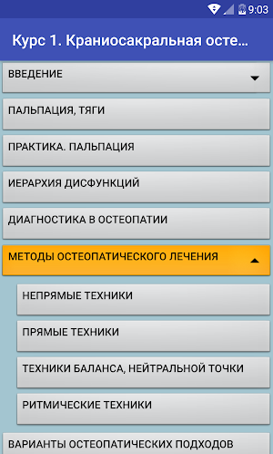 Проект "Остеопрактика" Screenshot 3