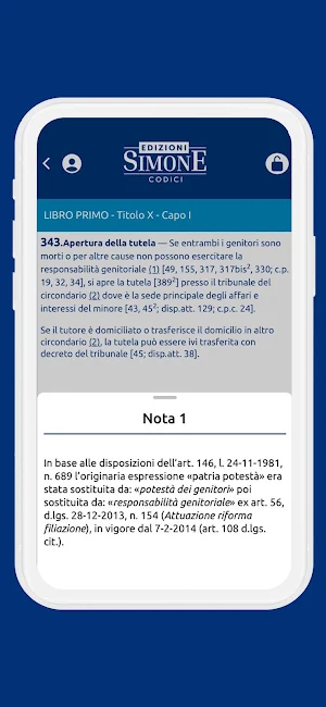 CodiciSimone Screenshot 3