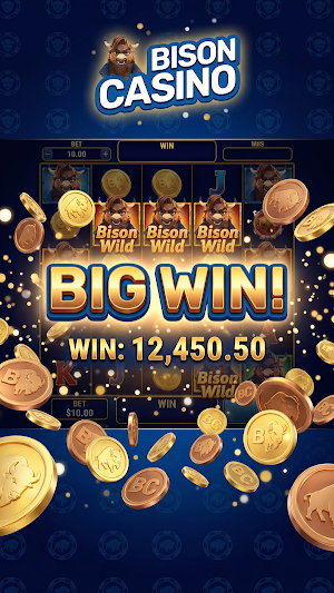 bison casino Screenshot 2