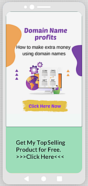 Domain Name Profits Screenshot 0
