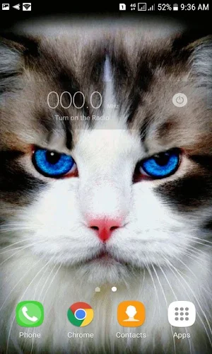 Blue Eyes Cat LWP Screenshot 2