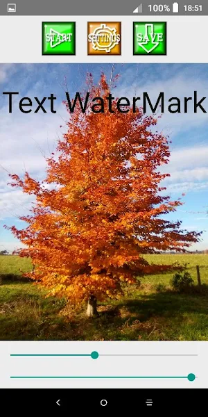 Text WaterMark Screenshot 0