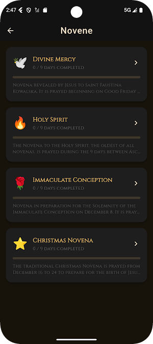 Rosary - Daily Gospel Screenshot 2