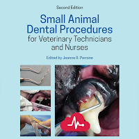 Small Animal Dental Procedures
