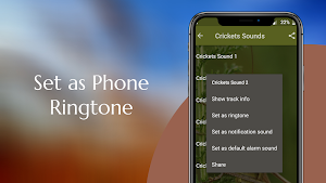 Crickets Sounds Screenshot 2
