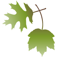 Wyldewood Baptist Church