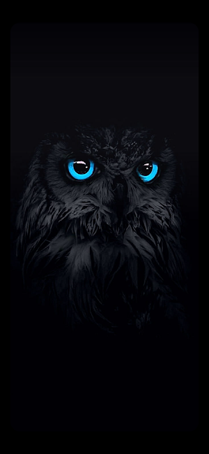 Bahga Bird Wallpapers Screenshot 1