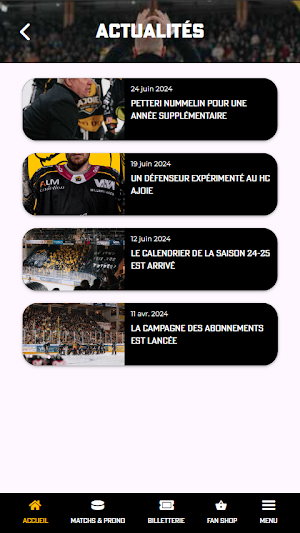 HC Ajoie Screenshot 3