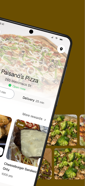 Paisano's Pizza To Go Screenshot 1