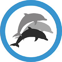 3Dolphins Anywhere