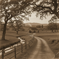 Sepia Image