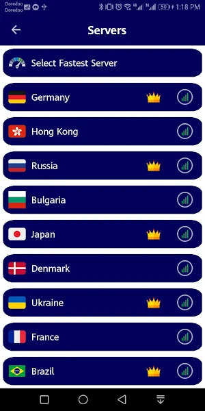Speed VPN Pro - Fast & Secure Screenshot 3