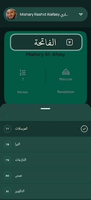 Quran Player Audio Offline Screenshot 3