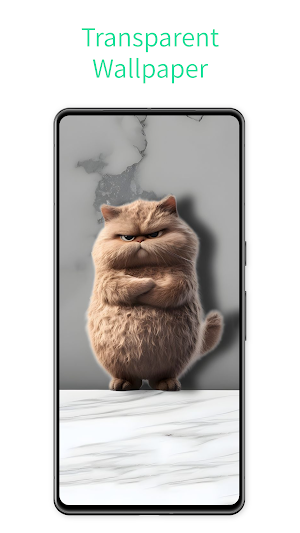 Live Wallpaper Transparent Screenshot 0