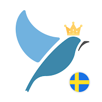 Swedish Language Tests