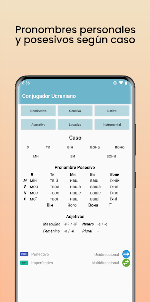 Ukrainian Conjugator Screenshot 3