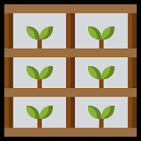Perennial Ground Covers