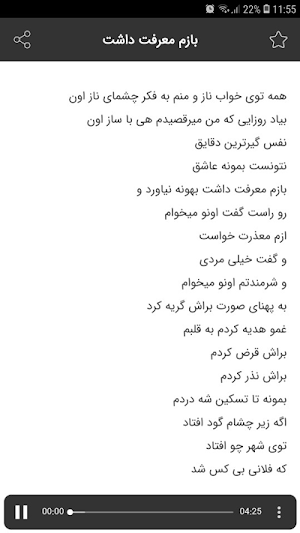 آهنگ های محسن لرستانی آفلاین Screenshot 3