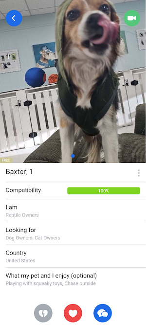 Petpals Connection Screenshot 3