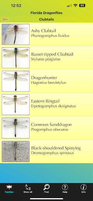 Florida Dragonflies Screenshot 2