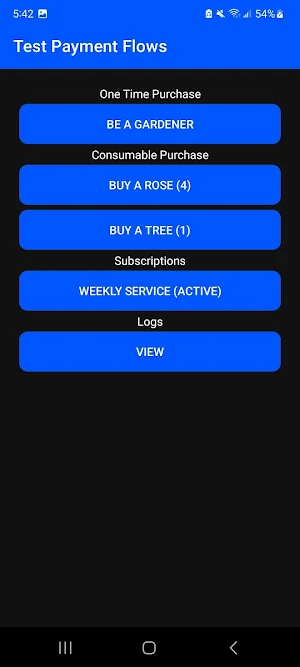 Test Payment Flows Screenshot 1