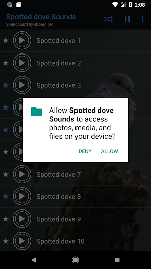 Spotted dove sounds ~ Sboard.pro Screenshot 1