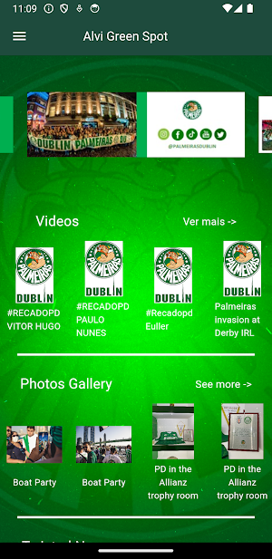 PalmeirasDublin Screenshot 1