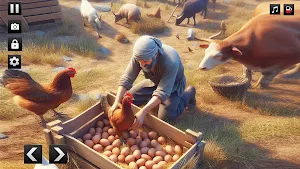 Ranch Chicken & Egg Farming Screenshot 1