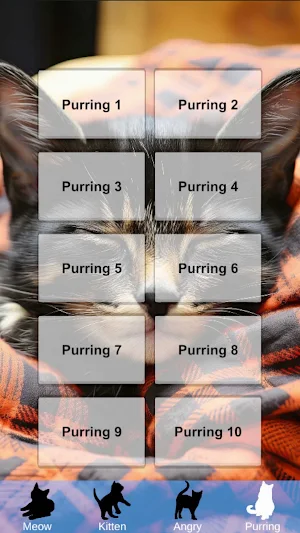 Cat Sounds & Meow Screenshot 3