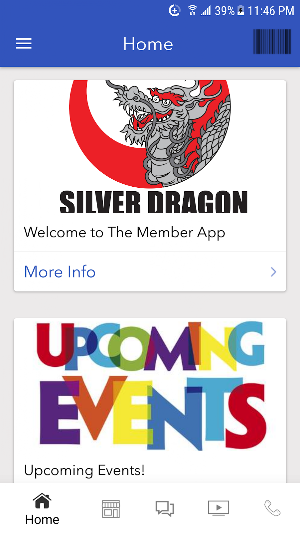 Silver Dragon Kung Fu Screenshot 3