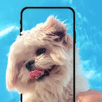 Cute Puppy Live Wallpapers HD
